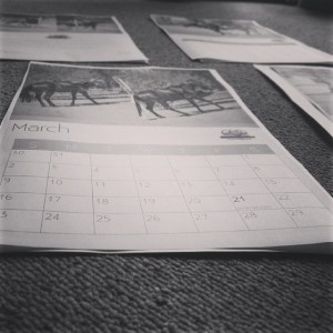 The Ginger Creative Instagram Shepherd's Fold Stables 2014 Calendar